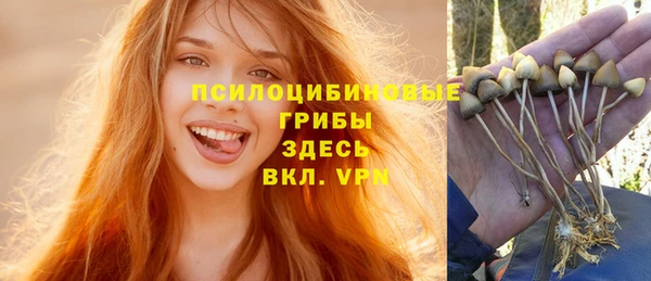 СК Киренск