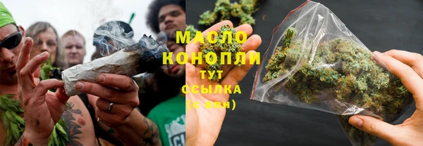 дмт Киреевск